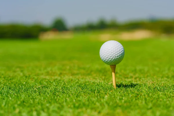 What Is an Ace in Golf? The Ultimate Achievement on the Course